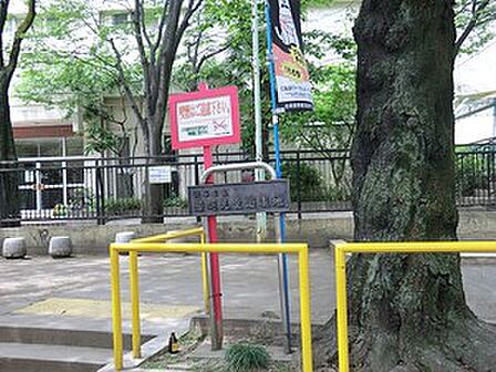 周辺環境:若羽児童遊園地