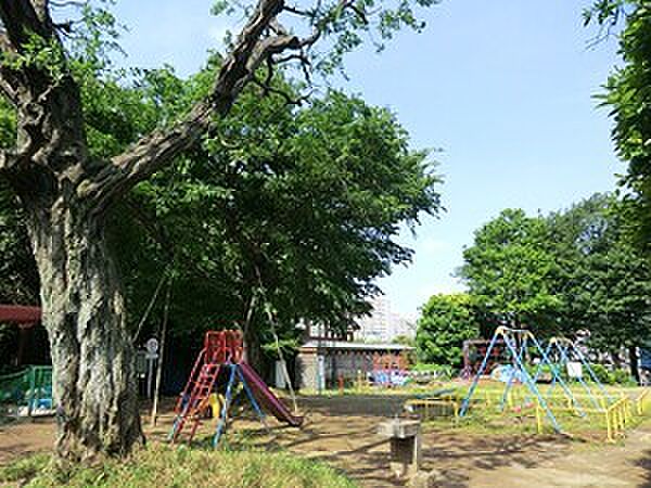 諏訪の森公園
