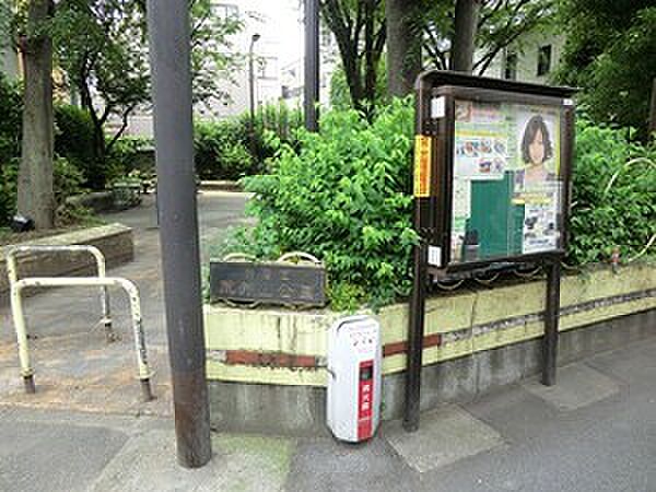 周辺環境:荒井山公園