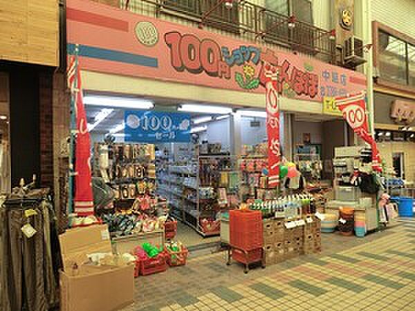 周辺環境:たんぽぽ