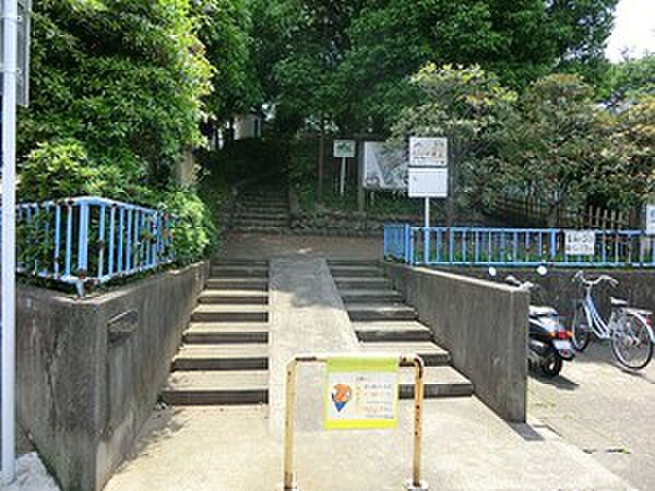 たぬき山公園