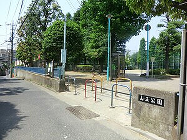 周辺環境:山王公園