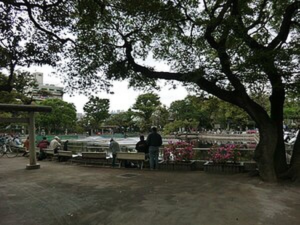 周辺環境:清水池公園