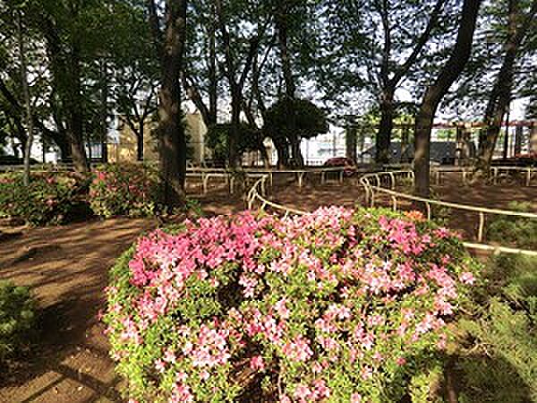 周辺環境:権現山公園