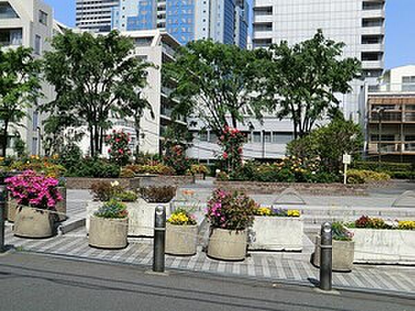 周辺環境:氷川公園