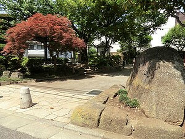 周辺環境:しいのき公園