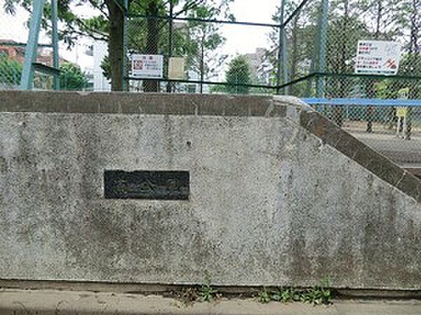 周辺環境:南公園