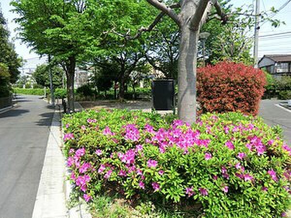 周辺環境:さんかく公園