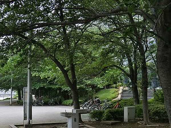 周辺環境:明石町河岸公園