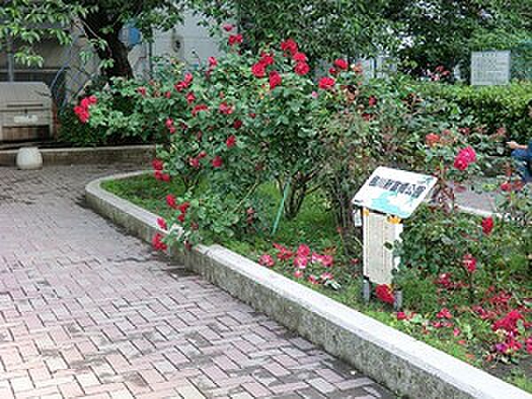 周辺を拡大表示