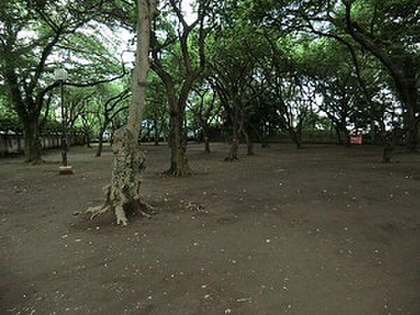 周辺環境:上野毛自然公園