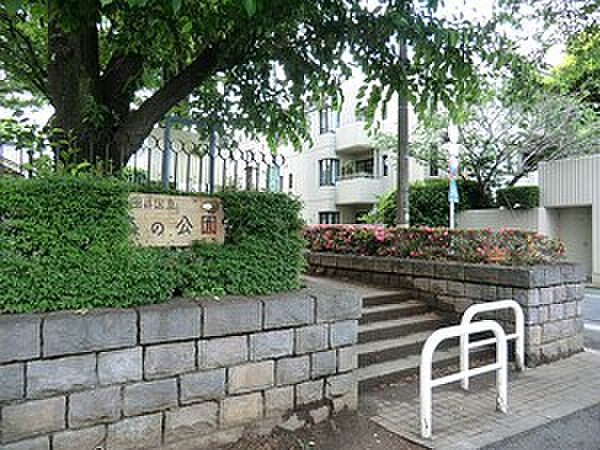 周辺環境:森の公園