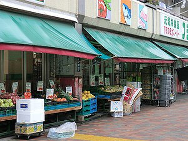 周辺環境:富士マト月島店