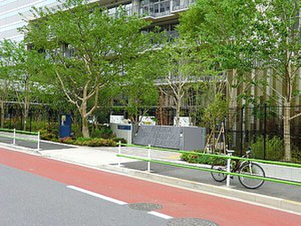 周辺環境:港区立芝浦幼稚園