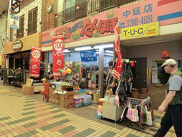 周辺環境:たんぽぽ
