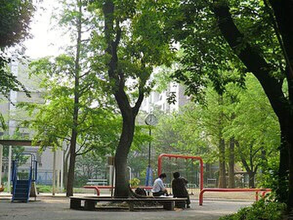 周辺環境:桜川公園