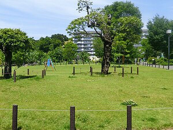 周辺を拡大表示