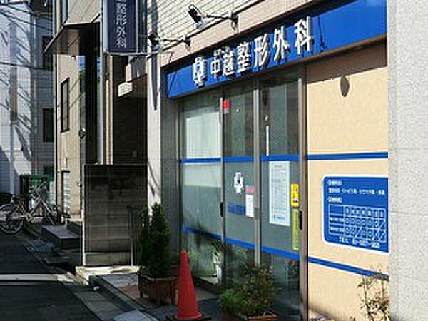 周辺環境:中越整形外科