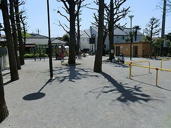 周辺環境:若宮公園