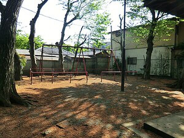 周辺環境:そろの木公園
