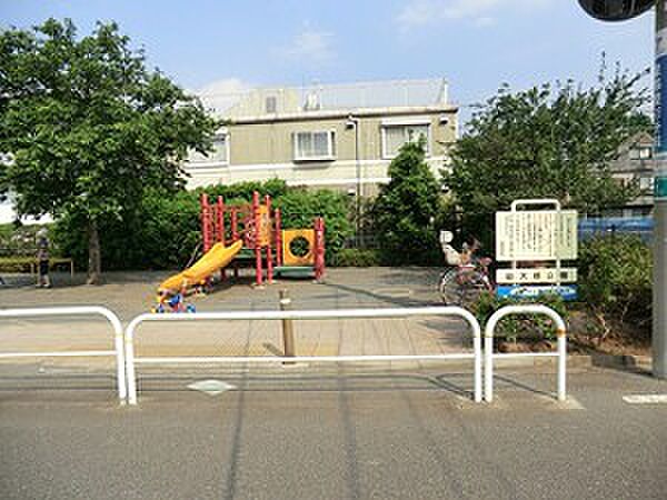 周辺環境:砧大根公園