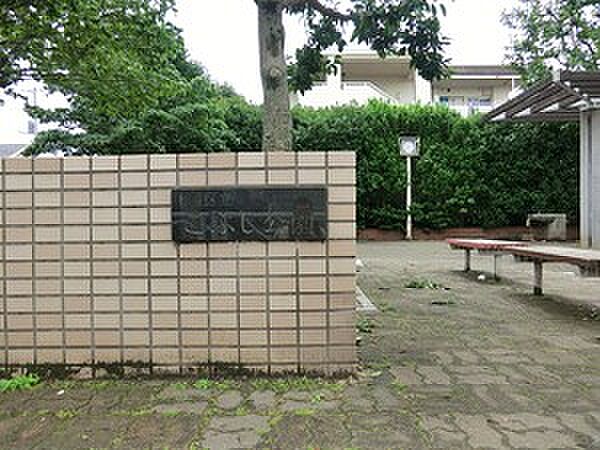 周辺環境:こぶし公園