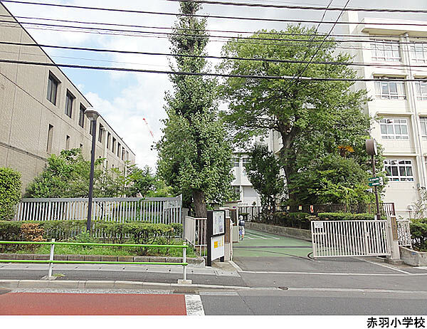 赤羽小学校