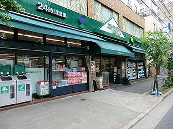 周辺環境:マルエツ上池袋店