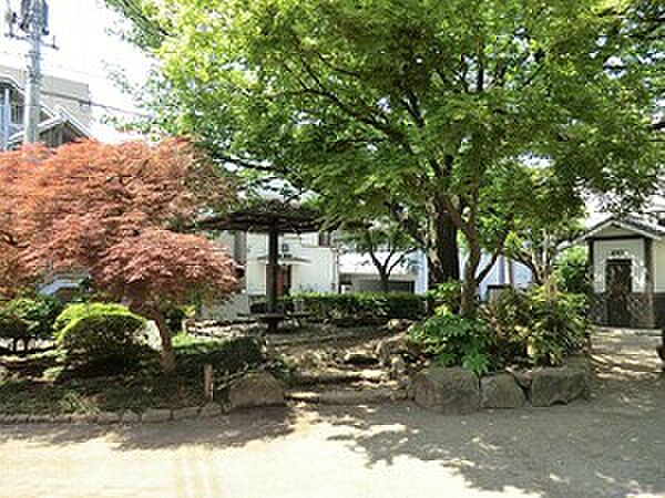 周辺環境:しいのき公園