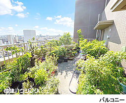 バルコニーの画像