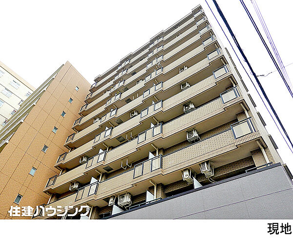 外観：313004749414