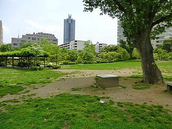 周辺環境:檜町公園