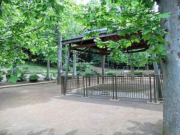 周辺環境:氷川の杜公園
