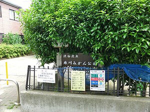 周辺環境:氷川みかん公園