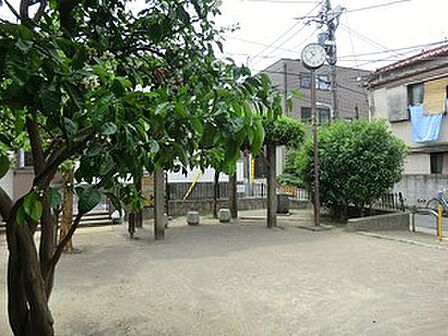 周辺環境:氷川みかん公園