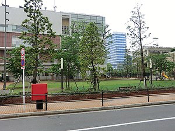 プラタナス公園