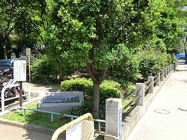 周辺環境:黎明橋公園