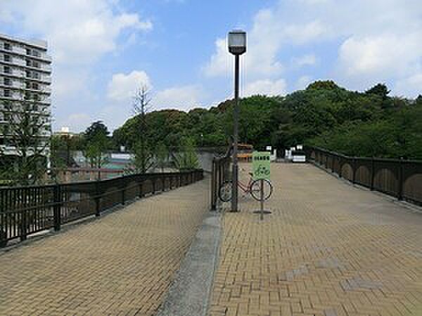 周辺環境:妙正寺川公園