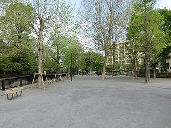 周辺環境:江古田公園