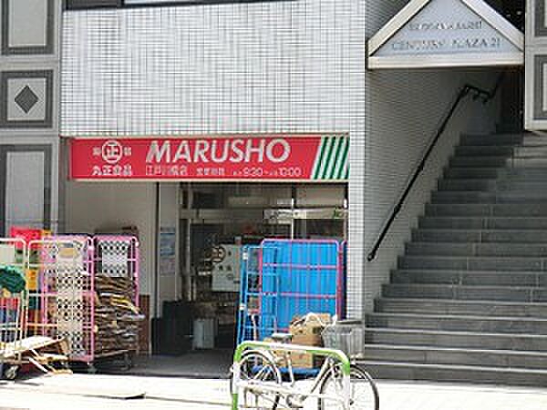 周辺環境:丸正食品江戸川橋店
