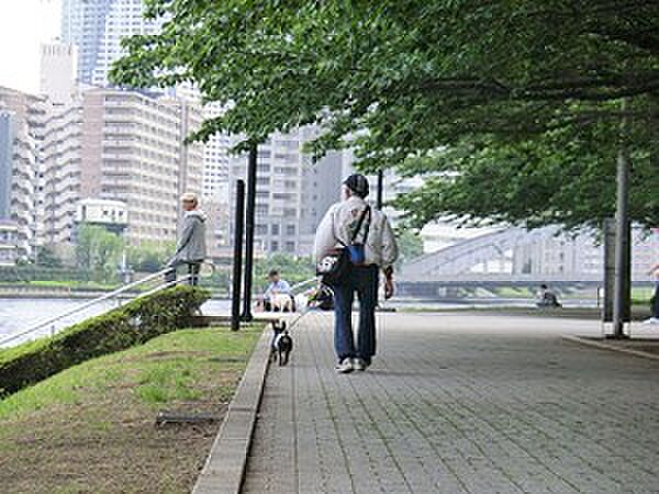 明石町河岸公園