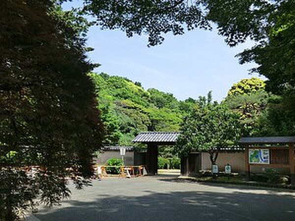 新江戸川公園