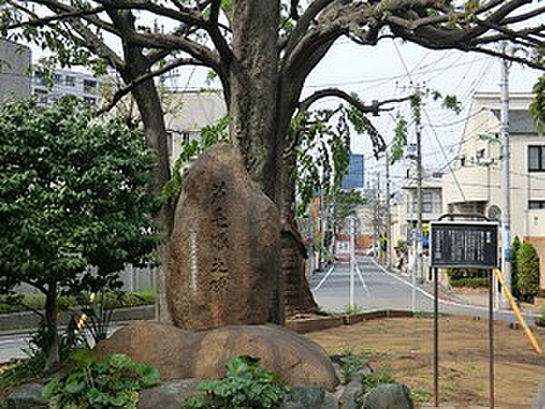 周辺環境:芦毛塚街かど公園