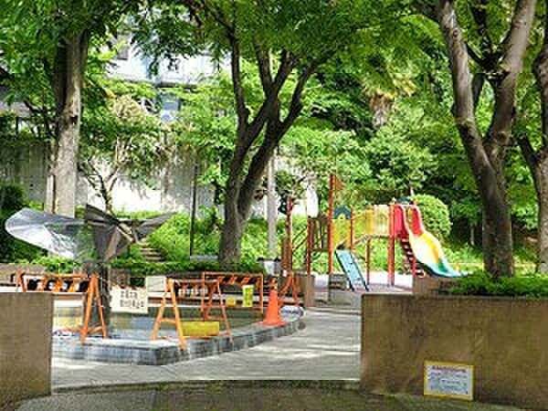 周辺環境:狸穴公園