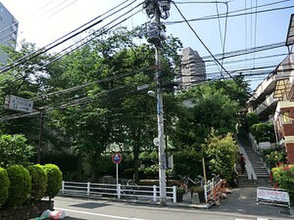 まつ川公園