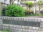 周辺環境:洗足北街かど公園