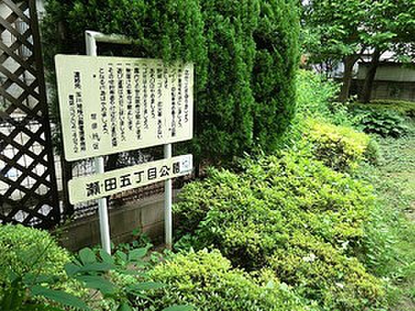 瀬田五丁目公園