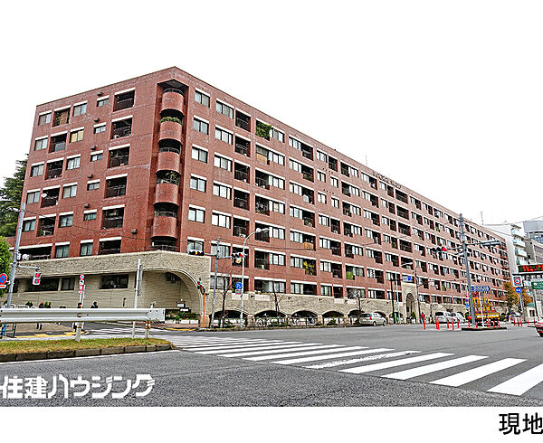 外観：313004850084