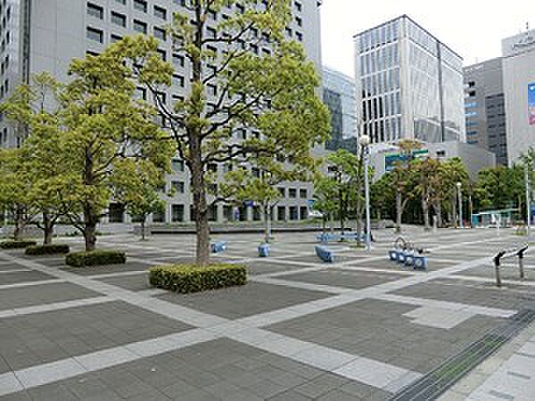 周辺環境:こうなん星の公園