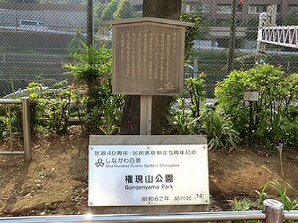 権現山公園